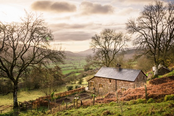Faraway House