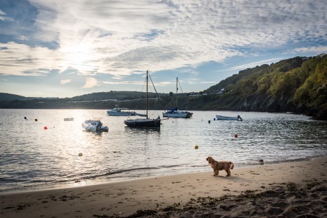 Ceredigion