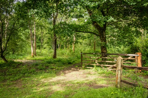 Billingshurst