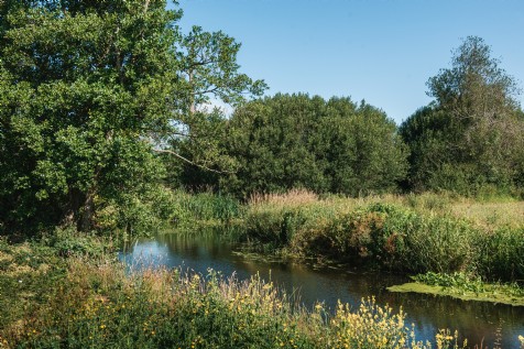 Billingshurst