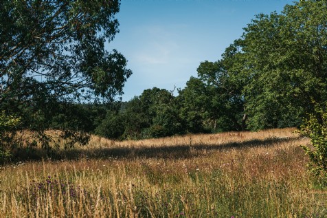 Pulborough