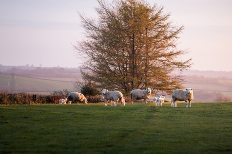 South Molton