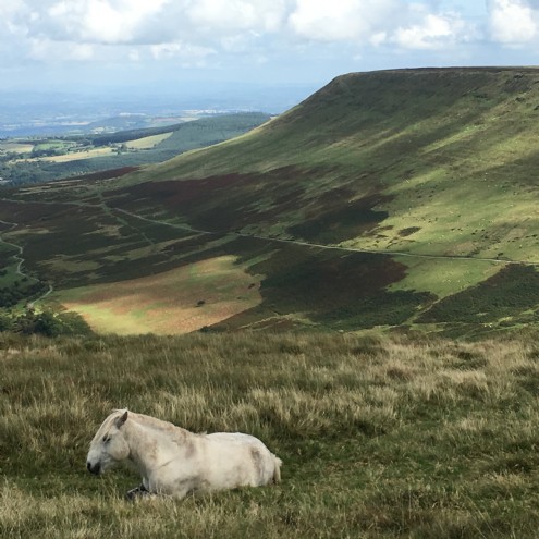 There are breathtaking views of the Black mountains to enjoy from the property