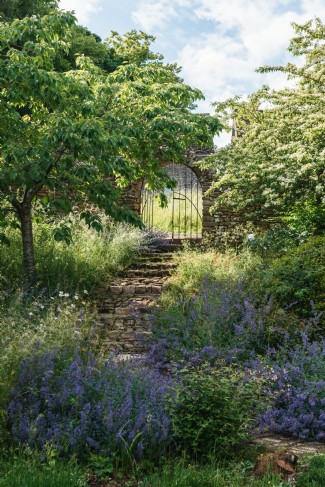 Gateways in stone walls invite exploration