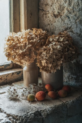 Discover rustic corners and secret nooks filled with light