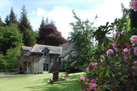 Kingfishers and Quality Time at Colenso House