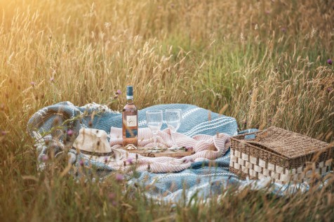 The field guide to summer feasting
