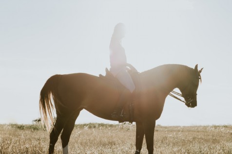 Horse Riding, Quantock Trekking