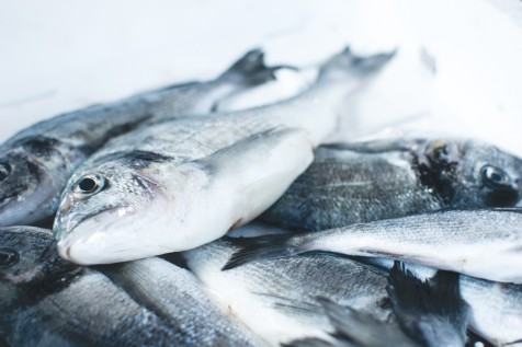 Something Fishy, Solva