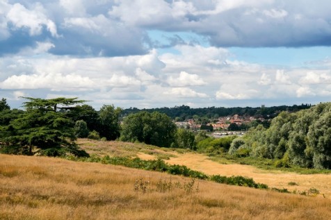 Sutton Hoo