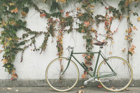 Cycling