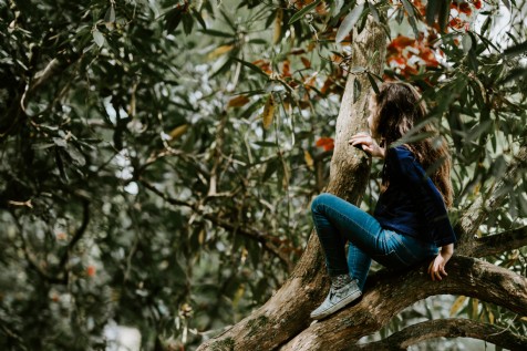 Westonbirt Arboretum