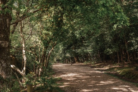 Explore the New Forest