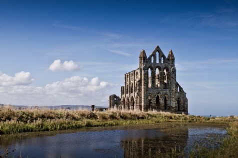 History and Intrigue