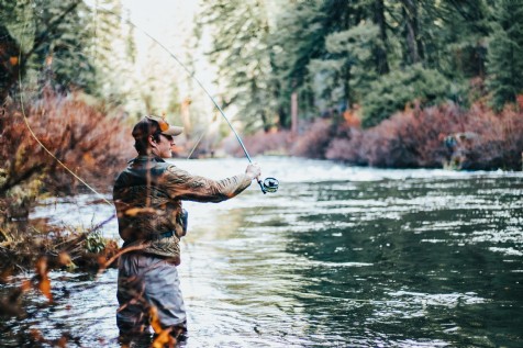 Reel Them In