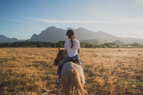 Saddle Up