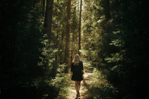 Accessible Trails