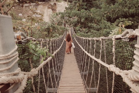 Eden Project