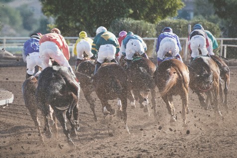 Cheltenham Racecourse, Cheltenham