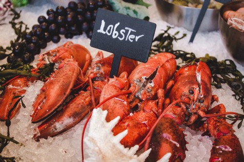 Porthleven Food Festival